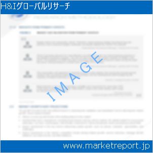 市場と産業調査レポートのイメージ